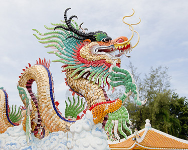 中国龙庆典木头装饰品建筑学动物传统警卫生物宗教运气背景图片