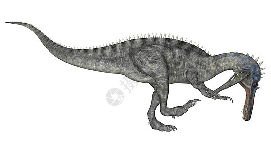 恐龙 Suchomimus鳄鱼牙齿荒野怪物捕食者时代动物野生动物模仿灭绝图片