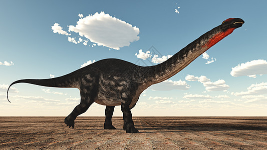 恐龙3D转化草食性恐龙侏罗纪灭绝食草古生物学爬虫动物脊椎动物蓝色图片