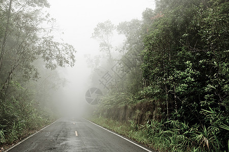 穿过森林的路有烟雾的路汽车情绪赛道街道交通魔法国家薄雾速度旅行图片