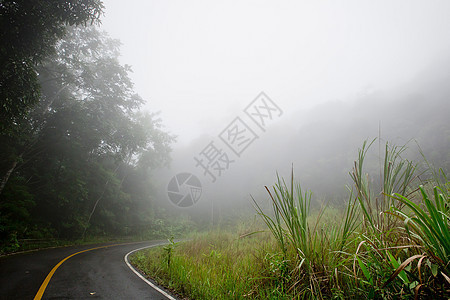 穿过森林的路有烟雾的路街道路线运动魔法薄雾速度农村交通汽车旅行图片