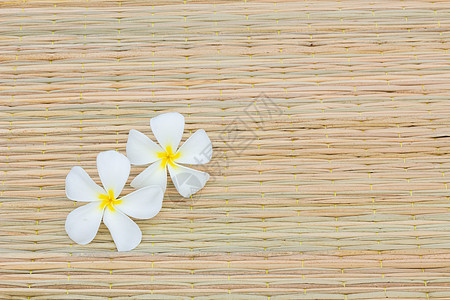 白灰色植物群疗法治疗花瓣假期竹子热带温泉药品鸡蛋花图片