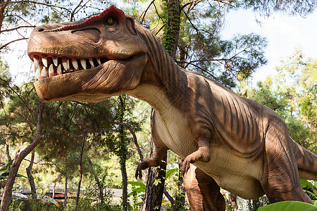 暴龙露出牙齿的嘴侏罗纪怪物化石岩石蜥蜴侵略宏观动物科学考古学图片