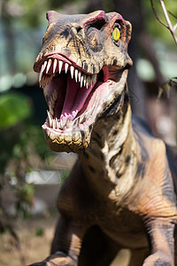 恐龙露出牙齿的嘴科学化石食肉灭绝动物侏罗纪怪物古生物学历史蜥蜴图片