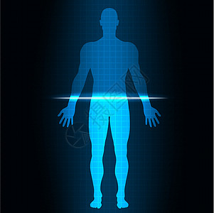 人文扫描卡通片脖子肩膀医疗前臂科学男人解剖学生物学身体图片