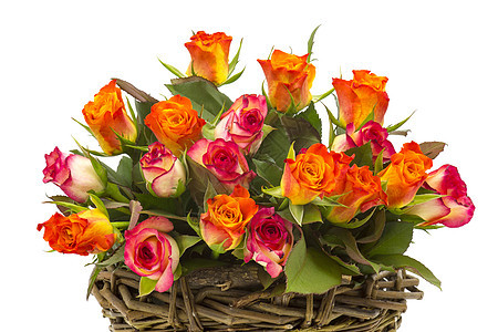 篮子里的玫瑰植物群花瓣植物周年生长展示墙纸花束妈妈叶子图片