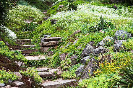 绿色花园中的石 Stony 楼梯衬套脚步爬坡公园小路石头缠绕杂草花坛岩石图片