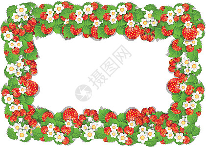草莓框架插图花园甜点美食植物水果绿色床单红色蔬菜图片