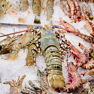 在市场上展示新鲜的海鲜安排 准备做饭图片