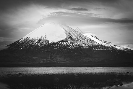 智利北部帕里纳科塔火山和Chungara湖拉丁边界体重风景高原国家旅行山脉公园图片