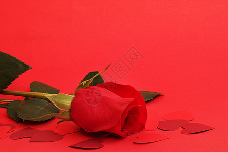 玫瑰和心礼物热情卡片红色背景图片