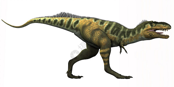 博世长者恐龙爪子怪物生物食肉爬虫泰坦脊椎动物庞然大物蜥蜴灭绝图片