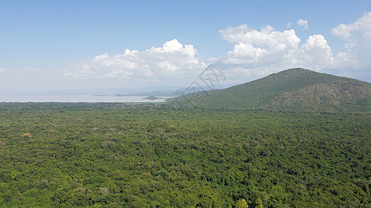 埃塞俄比亚查莫湖 埃塞俄比亚 非洲图片