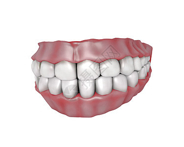 牙齿磨牙白色微笑犬类牙科卫生口服门牙牙医牙龈图片