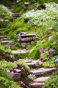 绿色花园中的石 Stony 楼梯绿化植物学高山脚步公园岩石石头衬套园艺人行道图片