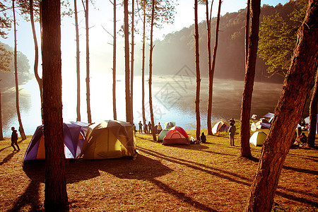 皇家森林公园Pang ung地区自由荒野爬坡鞭打地点旅游帐篷旅行天空图片