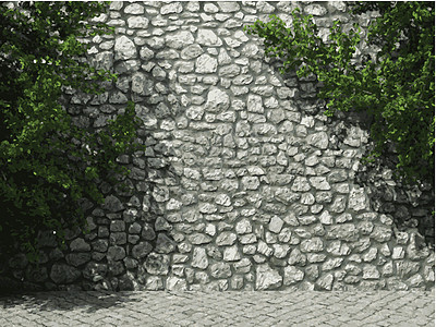 石墙和常春藤图片