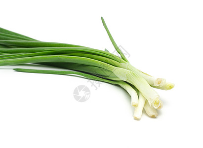 八成熟 美丽的春天洋葱绿色宏观物体白色根菜水平摄影植物蔬菜家族图片