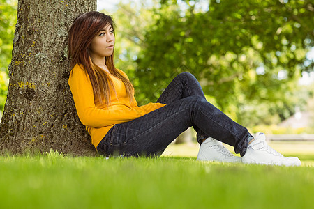 美丽的女人坐在公园的树对面绿色黑发草地树干绿地棕色思维头发闲暇女性图片