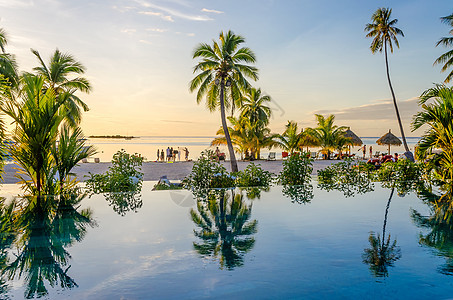 棕榈在沙滩的无穷水池上反射 法属波利内图片