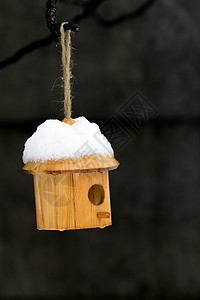 下雪时的鸟屋图片
