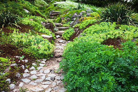 绿花园中的石 Stony 路和楼梯踪迹园艺花坛小路高山灌木绿化假山园林植物图片