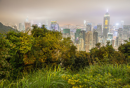 香港夜间有植被的天线图片