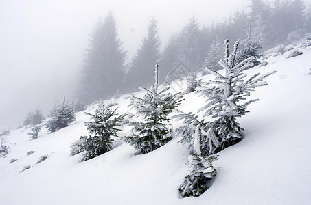 冬季寒冬平静的山地景观寒意高地环境太阳阳光爬坡首脑季节场景风景图片