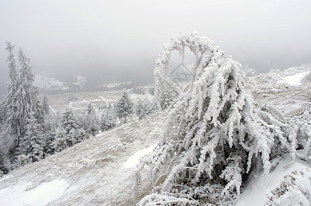 冬季寒冬平静的山地景观首脑天气公园降雪松树风景高地天堂场景环境图片