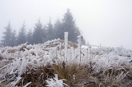 冬季寒冬平静的山地景观木头森林季节首脑寒意环境场景松树天空天气图片