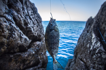 地中海的岩海捕鲑鱼钓鱼海军爱好冲浪火鸡闲暇海洋运输岩石娱乐图片