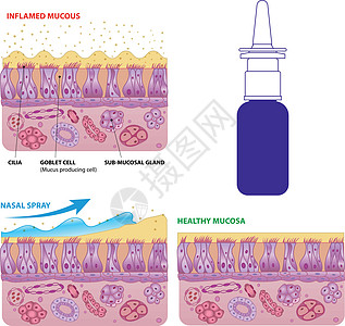 细胞和微硅病媒计划图片