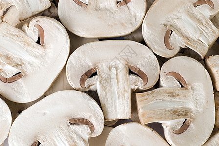 蘑菇蔬菜食物框架背景图片