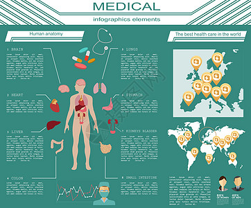 医学和保健信息资料 创建信息库的要点医生救护车科学数据药品解剖学身体插图生物学骨骼图片