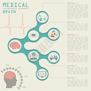 医疗和保健信息 脑人口图和脑人口图医生癌症器官插图药品医院救护车解剖学骨骼数据图片