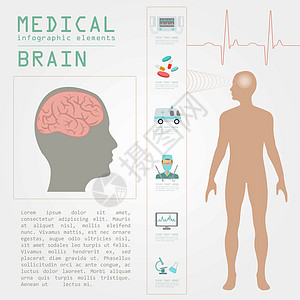 医疗和保健信息 脑人口图和脑人口图骨骼器官解剖学药品科学数据医院插图脑炎救护车图片