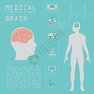医疗和保健信息 脑人口图和脑人口图器官插图医院药品救护车医生科学诊所图表脑炎图片