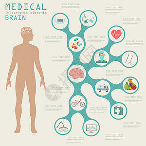医疗和保健信息 脑人口图和脑人口图医生身体生物学诊所药品癌症插图注射器解剖学数据图片
