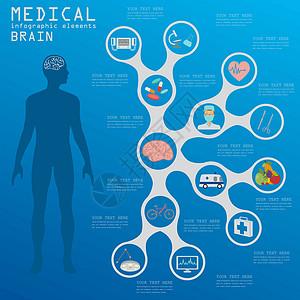 医疗和保健信息 脑人口图和脑人口图生物学癌症器官诊所图表科学身体医生注射器插图图片