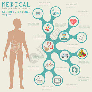 医疗保健信息图表 胃肠道信息科学结核骨骼插图腹泻大肠癌症胃炎器官医生图片
