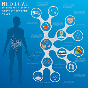 医疗保健信息图表 胃肠道信息器官溃疡科学解剖学医生插图腹泻骨骼结核大肠图片