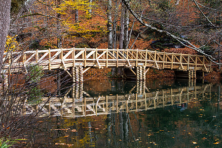 秋季森林湖上的桥梁图片