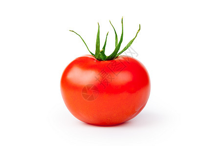 番茄蔬菜植物食物活力红色图片