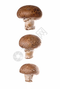 蘑菇食物白色背景图片