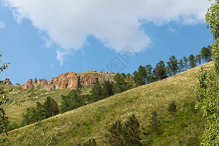 绿青山边缘地形地平线天空树木植物反射阳光爬坡蓝色图片