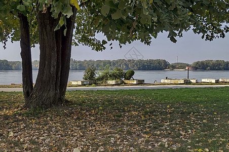 保加利亚多瑙河沿岸Ruse镇Ruse镇的河滨公园叶子灌木天空红色公园金子布朗绿色大街花园图片