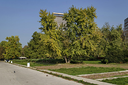 保加利亚多瑙河沿岸Ruse镇Ruse镇的河滨公园树木天空叶子支撑花园绿色公园大街楼梯灌木图片