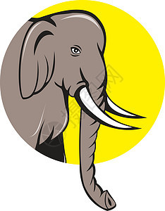 印地安大象背景图片