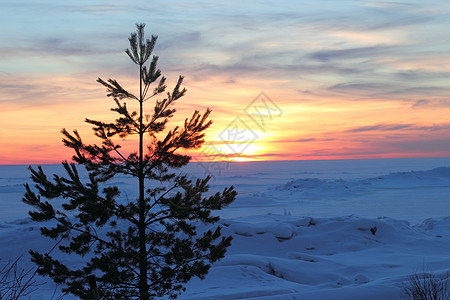 与日落开始的风景太阳白色海滩图片