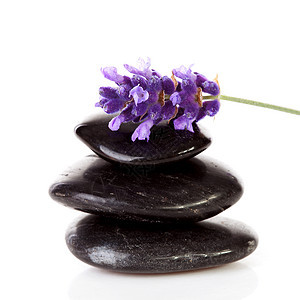 堆叠的黑色踏脚石和熏衣草花芳香植物温泉香味疗法放松香水草本紫丁香石头图片